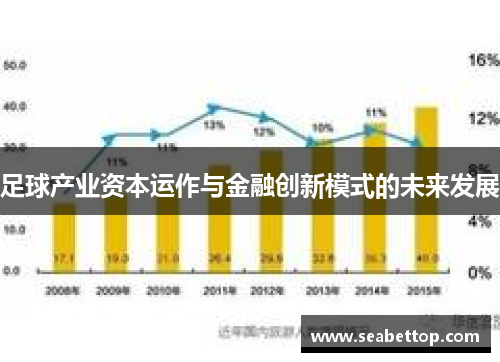 足球产业资本运作与金融创新模式的未来发展